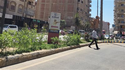 حركة المرور اليوم الجمعة 12/8/2022 في محافظة المنوفية