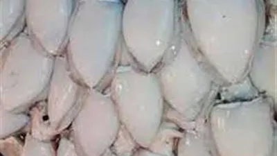 أسعار السمك اليوم الجمعة 12-8-2022 في التعاملات المسائية بمحافظة الشرقية