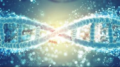 بعد طفلة المنصورة... أبرز الطفرات التي تصيب الجنين في رحم الأم