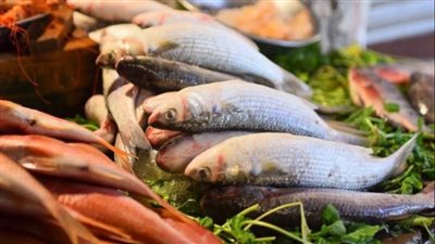 أسعار الأسماك اليوم الأحد 14\8\2022 في الإسكندرية