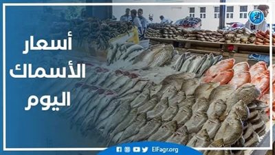 أسعار السمك اليوم السبت 20 أغسطس 2022 في سوهاج