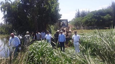 وزارة الري: تنفيذ ١٠ إزالات على نهر النيل والمجاري المائية بالبحيرة