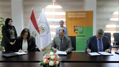 وزيرة البيئة: تشجيع المبادرات نحو مستقبل أخضر أفضل لإفريقيا