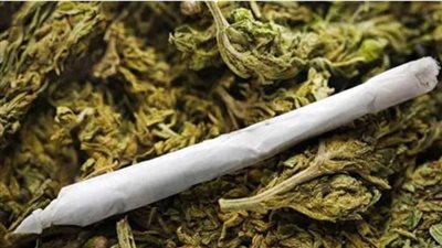 بـحوزتهم 10 كيلو مخدر الهيدرو.. تفاصيل سقوط مروجي المخدرات في المقطم 