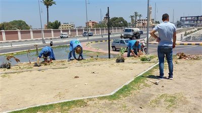  محافظ الإسكندرية: مواصلة تشجير المحاور والطرق الجديدة 