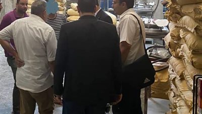 تفاصيل ضبط مصنع ميلامين يستخدم مواد محظورة في الدقهلية 