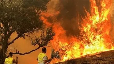 38 وفاة بحرائق غابات الجزائر بسبب الحر