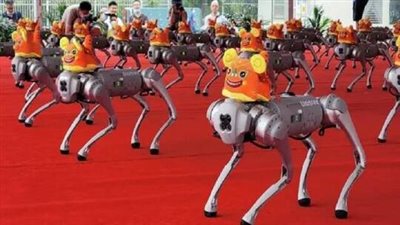 شاهد.. ١٠٠ من الكلاب الآلية تفتتح مؤتمر الروبوتات العالمي في بكين