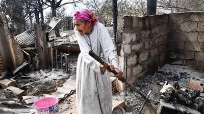 من المسؤول.. غضب جزائري بسبب فشل الحكومة في مواجهة الحرائق