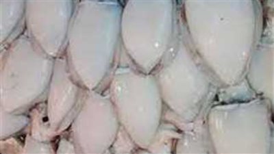 أسعار السمك اليوم السبت 20-8-2022 بمحافظة الشرقية