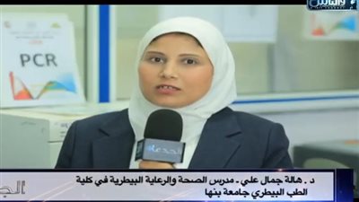 أستاذ بجامعة بنها: ابتكرت أسلوب سهل لتشخيص سرطان الدم البقري في ساعتين