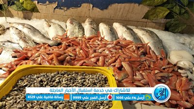 أسعار السمك اليوم الأحد 21/8/2022 محافظة المنوفية