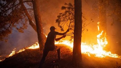مدير الحماية المدنية السابق يكشف عن أسباب اشتعال الحرائق (فيديو)