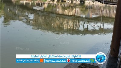 سرق سيارة مريض وهرب.. مصرع سايس إثر سقوط سيارة بترعة القاصد بالمنوفية