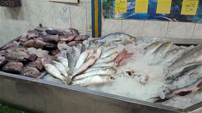 تعرف على أسعار الأسماك بأسواق الدقهلية اليوم الجمعة 26-8-2022 