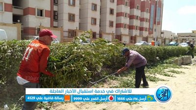 رفع المخلفات بمصيف بلطيم في كفر الشيخ