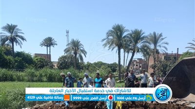 إزالة 9 حالات تعد على الأراضي الزراعية بمركزي سنورس وأبشواي