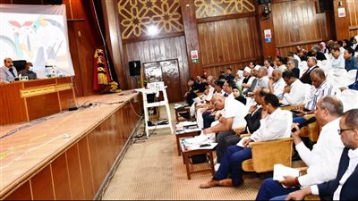 محافظ أسوان يشدد على الالتزام بترشيد الاستهلاك في الكهرباء