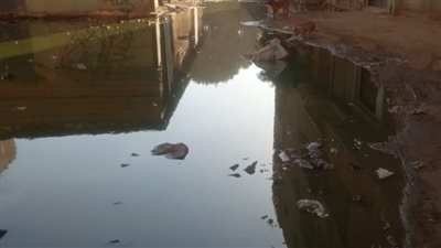 استغاثة- كارثة تهدد حياة أهالى نزلة حي الهرم.. مياه الصرف تغرق الشوارع والمنازل ومناشدات للرئيس بالحياة الكريمة