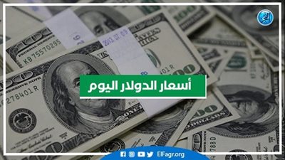 أسعار الدولار في ختام التعاملت اليوم الثلاثاء 23-8-2022.. وارتفاع جديد بالعملة الأمريكية