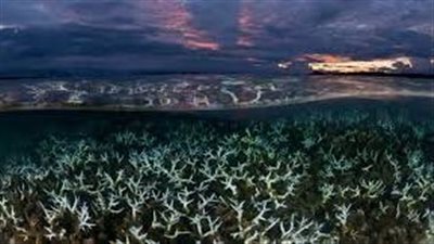 القومي لعلوم البحار يوضح تأثير تغير المناخ على مصر (فيديو)