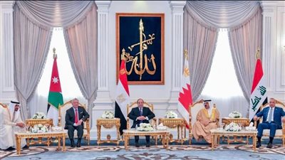 أستاذ اقتصاد: لقاء الأشقاء العرب بالعلمين تنسيق لإدارة أزمة (فيديو)