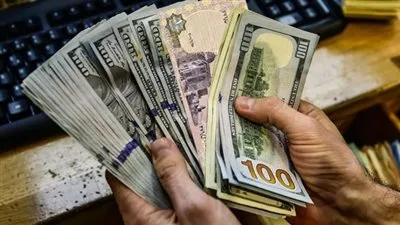 خبير: ثقة المصريين بالخارج في الاقتصاد سبب زيادة تحويلاتهم 