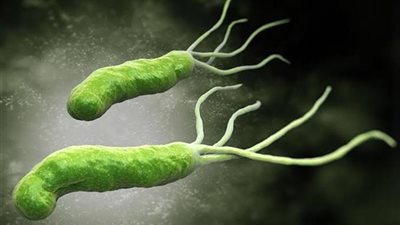 أعراض جرثومة المعدة وأبرز المضاعفات