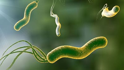 أعراض جرثومة المعدة النفسية والجسدية