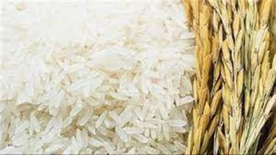 توقعات بتراجع أسعار الأرز 30% مع بداية الشهر المقبل