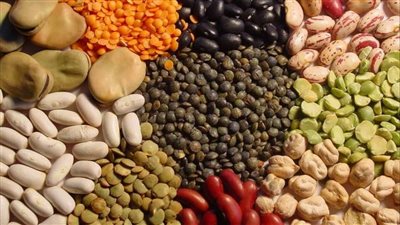 أسعار البقوليات مساء اليوم الجمعة 26-8-2022 في الدقهلية