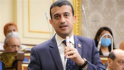 الخولي: مخرجات قوية للحوار الوطني.. وعلينا الاستعداد لتداعيات الأزمة الروسية الأوكرانية