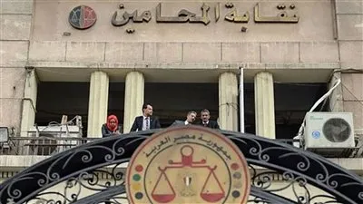 أصوات الصعايدة والمرأة كلمة السر فى انتخابات نقيب المحامين