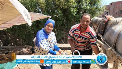 ورثها أبا عن جد.. مصطفى يعمل فى تشقيف الأحصنة كعب داير فى أسواق المنوفية (فيديو)