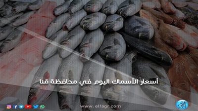 أسعار السمك اليوم السبت 27-8-2022 في محافظة قنا