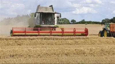 البنك الدولى: حرب أوكرانيا رفعت أسعار الغذاء فى مصر ١٣٪