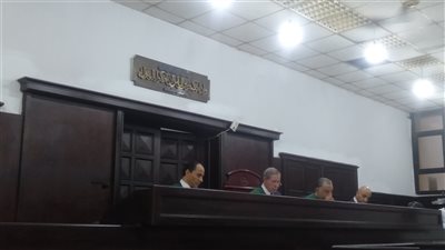 استئناف محاكمة المتهمين بقتل الطفلة روجينا علي يد 6 أشخاص من بينهم الام في المنصورة 