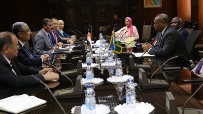 وزير الكهرباء يستقبل نظيره الجيبوتي لبحث سبل التعاون في مجال الطاقة