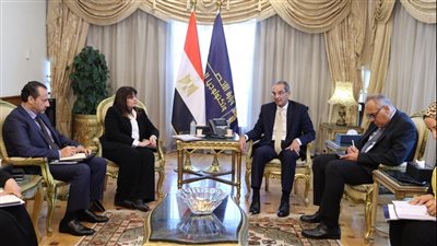 وزير الاتصالات: المصريون بالخارج ثروة قومية.. وحريصون على رعاية مصالحهم