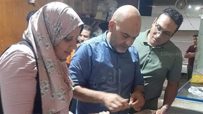 ضبط 500 كجم أسماك سردين غير صالحة بالمنوفية