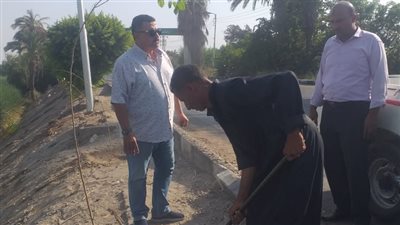 تفاصيل المبادرة الرئاسية لزراعة 100 مليون شجرة بالمنيا