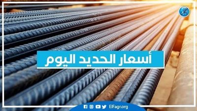 أسعار الحديد اليوم 31-8-2022 محافظة الإسكندرية