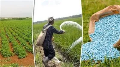 عاجل.. شركة اسمدة مصرية تستعد لتصدير منتاجتها للسوق البرازيلي 