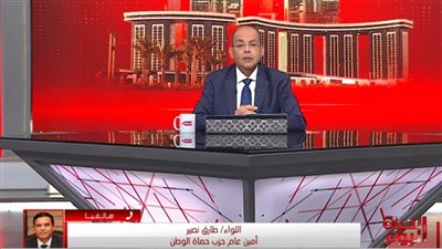 حزب حماة وطن: الرئيس يسعى دائمًا لدعم الأسرة الأكثر احتياجا