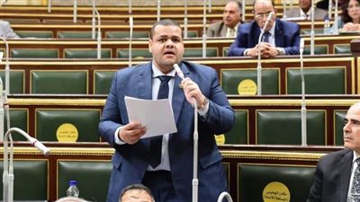 برلماني: الدعم الاستثنائي لبطاقات التموين يؤكد إحساس الرئيس بالمواطنين 