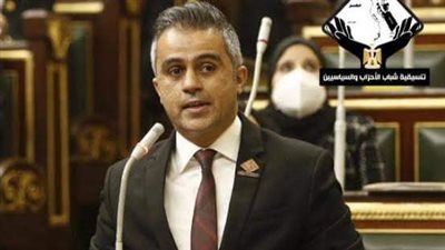 تضامن النواب: توجيهات الرئيس بصرف دعم 300 جنيه هو توفير حياة كريمة 