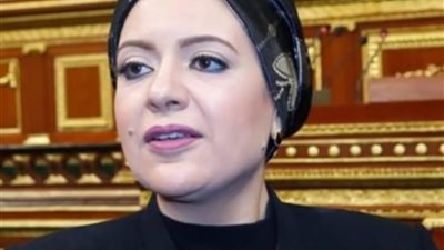 برلمانية تطالب بإضافة الطبقة المتوسطة للفئات المستحقة للدعم 