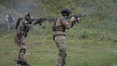 خبير فنلندي: الناتو طبق المادة الخامسة من ميثاقه