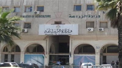الزراعة ترد على التحذير من تناول اللحوم والألبان