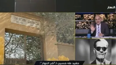 حفيد عميد الأدب العربي: 